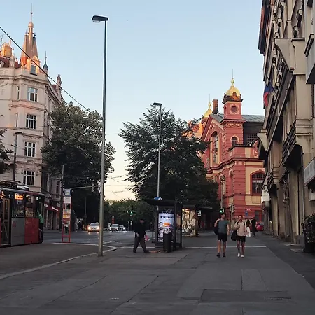 דירה Prague-2 Vinohrady פראג
